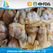 iqf clam without shell supplier